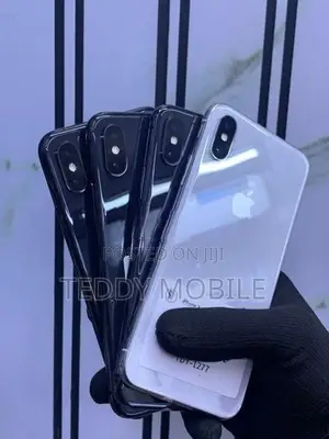 Apple iPhone X 256GB (Used)