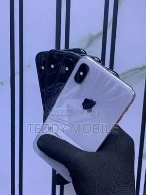 Apple iPhone X 256GB (Used)