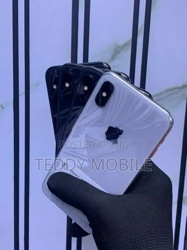 Apple iPhone X 256GB (Used)
