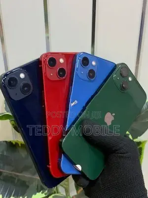Apple iPhone 13 (Used)