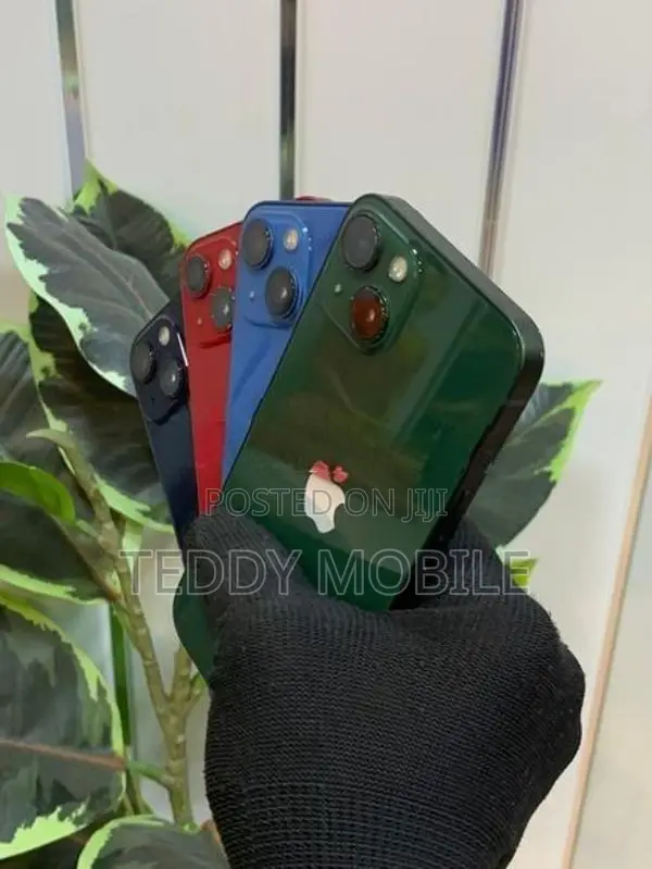 Apple iPhone 13 (Used)