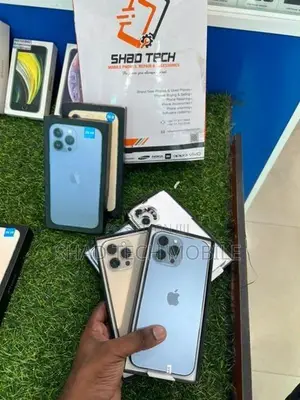 Apple iPhone 13 Pro Max 256GB (Used)
