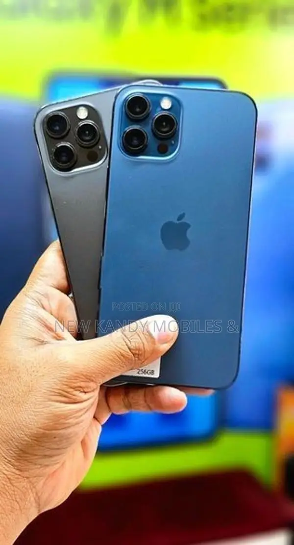 Apple iPhone 12 Pro 256GB (Used)