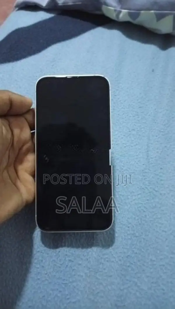 Apple iPhone 13 (Used)