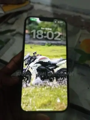 Apple iPhone 13 Pro Max (Used)
