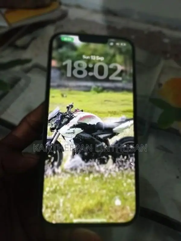 Apple iPhone 13 Pro Max (Used)