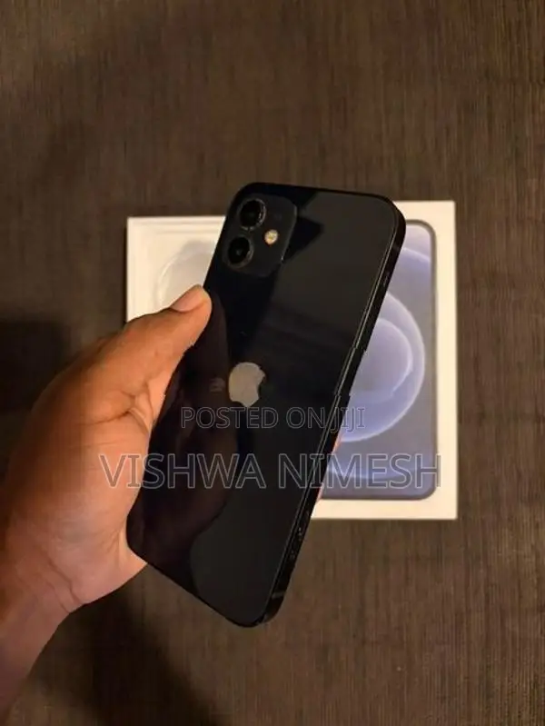 Apple iPhone 12 (Used)