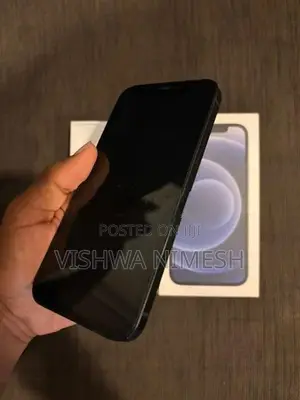 Apple iPhone 12 (Used)