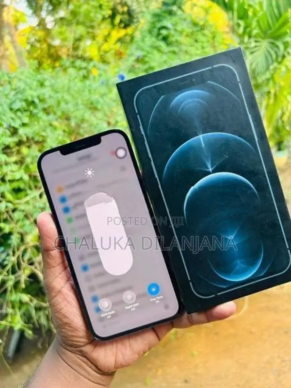 Apple iPhone 12 Pro Max 256GB (Used)