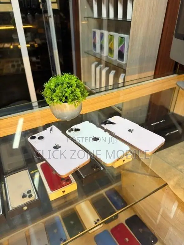 Apple iPhone 13 256GB (Used)