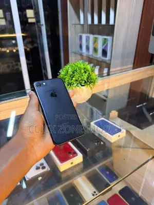Apple iPhone 7 256GB (Used)