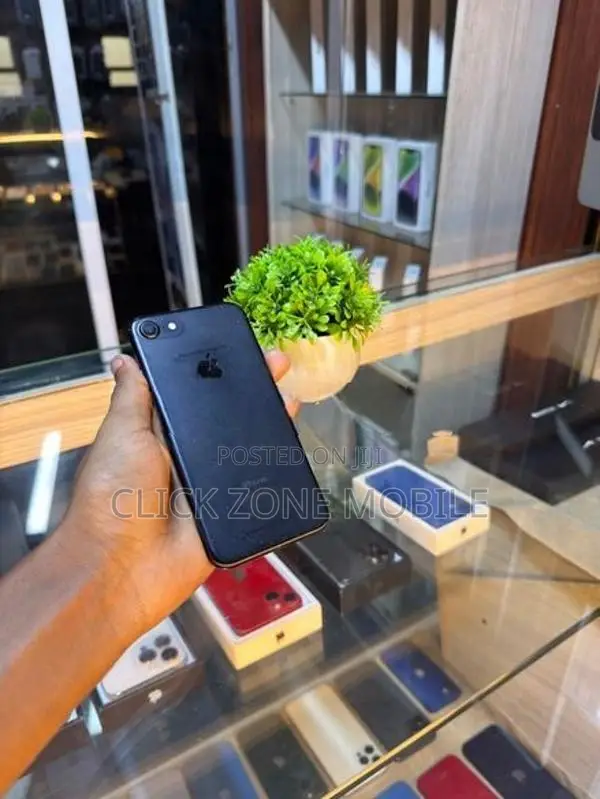 Apple iPhone 7 256GB (Used)