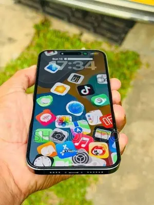 Apple iPhone 14 Pro Max (Used)