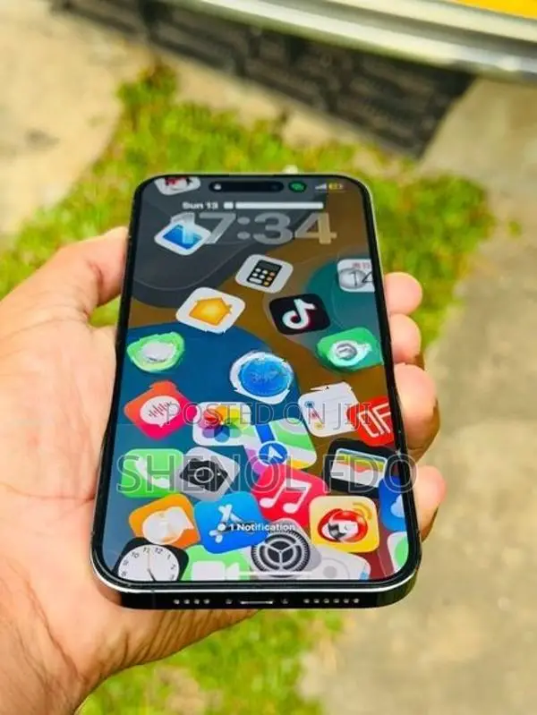 Apple iPhone 14 Pro Max (Used)