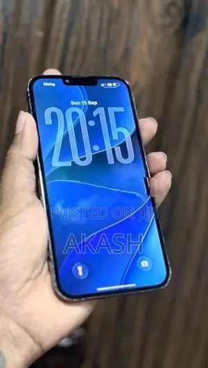 Apple iPhone 13 Pro Max 256GB (Used)