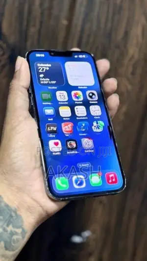 Apple iPhone 13 Pro Max 256GB (Used)
