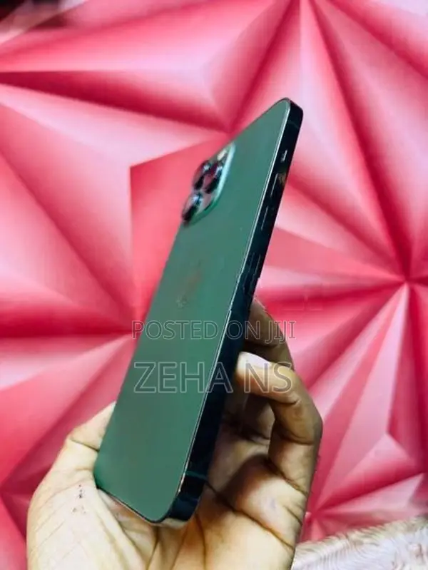Apple iPhone 13 Pro Max (Used)