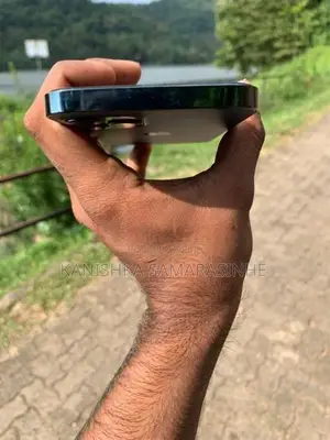Apple iPhone 12 Pro (Used)