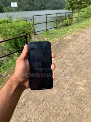 Apple iPhone 12 Pro (Used)