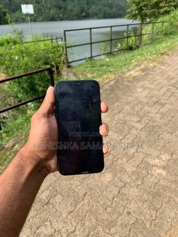 Apple iPhone 12 Pro (Used)