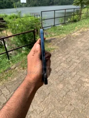 Apple iPhone 12 Pro (Used)