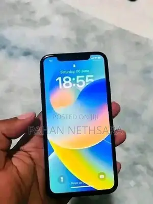 Apple iPhone X 256GB (Used)