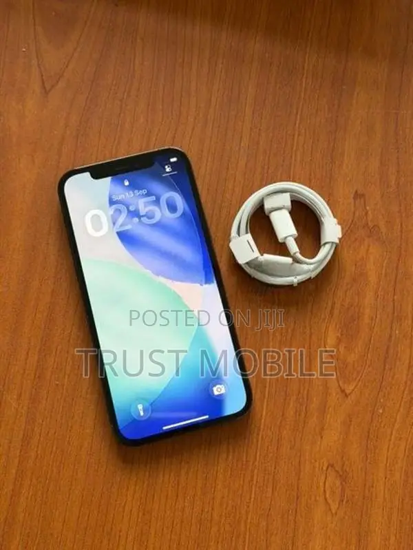 Apple iPhone 12 Pro 256GB (Used)
