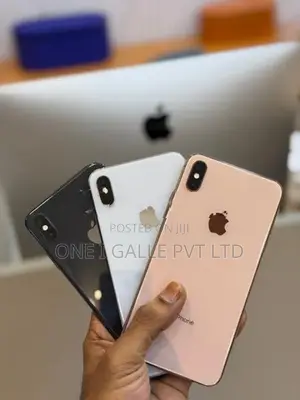 Apple iPhone XS Max 256GB (Used)