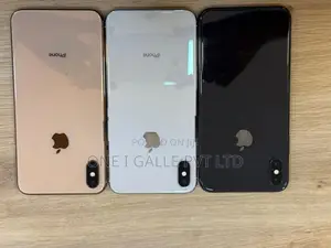 Apple iPhone XS Max 256GB (Used)