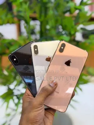 Apple iPhone XS Max 256GB (Used)