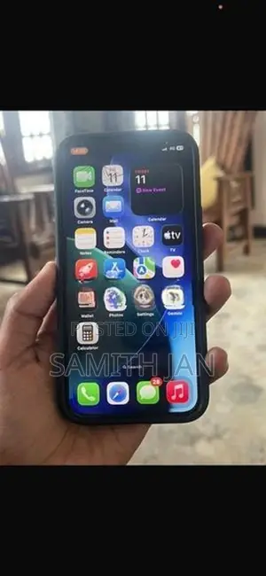 Apple iPhone 12 mini (Used)