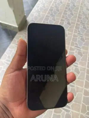 Apple iPhone 16 Pro Max (Used)