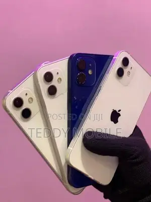 Apple iPhone 12 (Used)