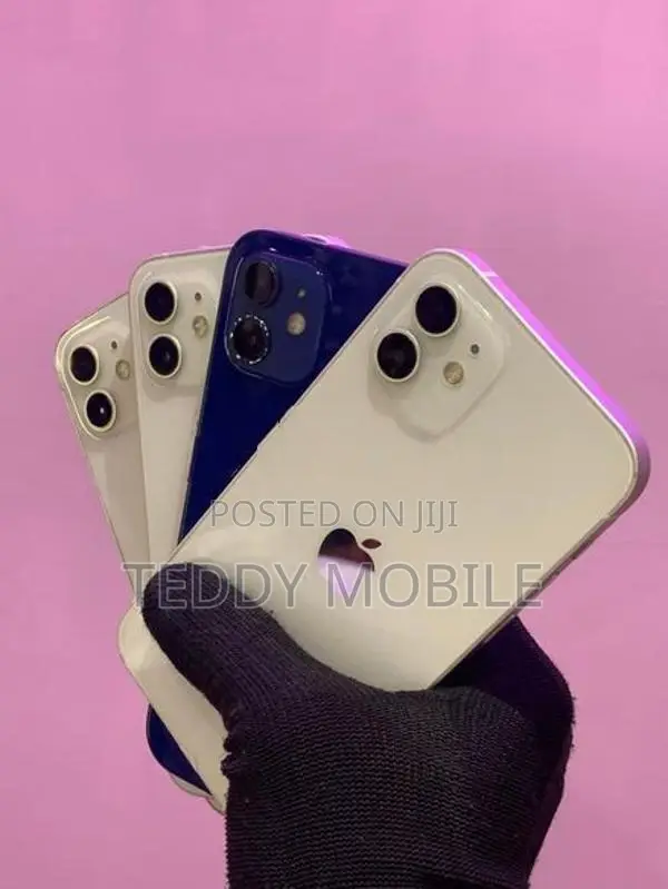 Apple iPhone 12 (Used)