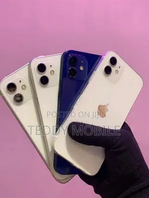 Apple iPhone 12 (Used)
