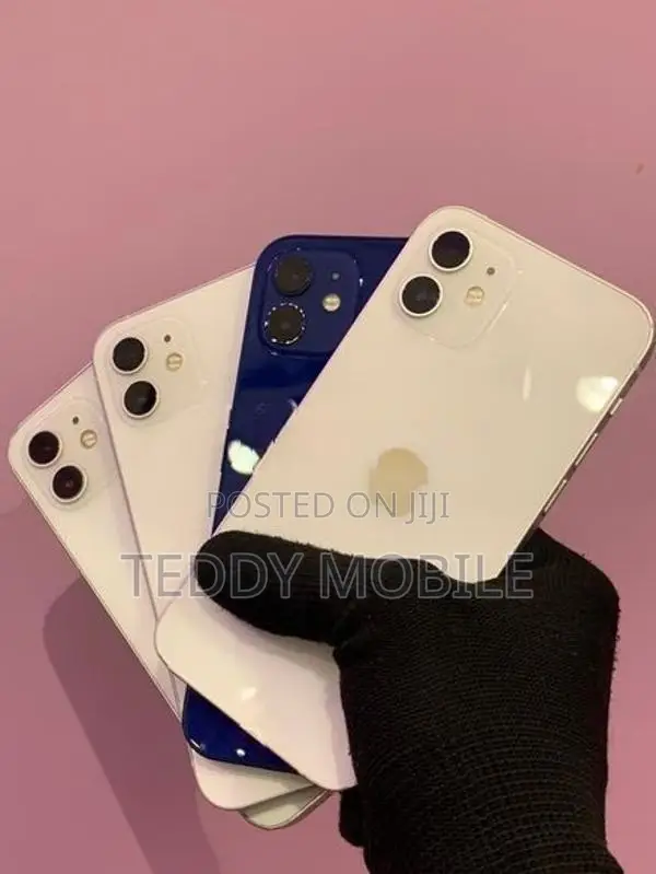 Apple iPhone 12 (Used)
