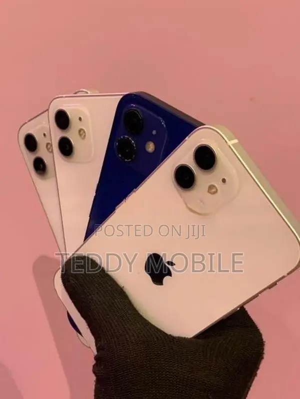Apple iPhone 12 (Used)