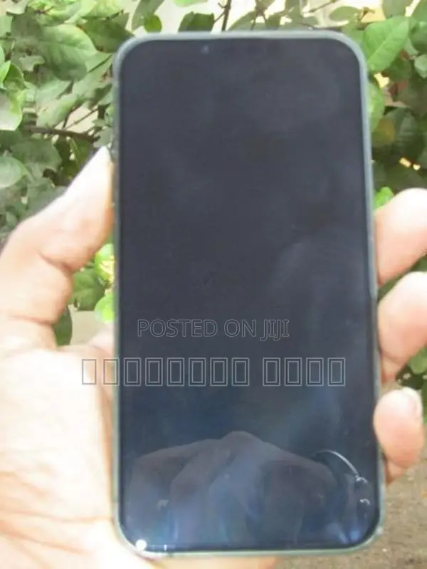 Apple iPhone 13 (Used)