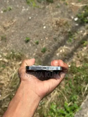 Apple iPhone 14 Pro Max (Used)