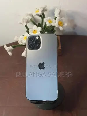 Apple iPhone 12 Pro Max (Used)