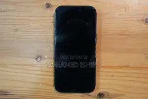 Apple iPhone 16 Pro (Used)