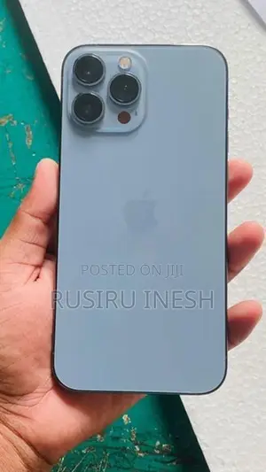 Apple iPhone 13 Pro Max (Used)
