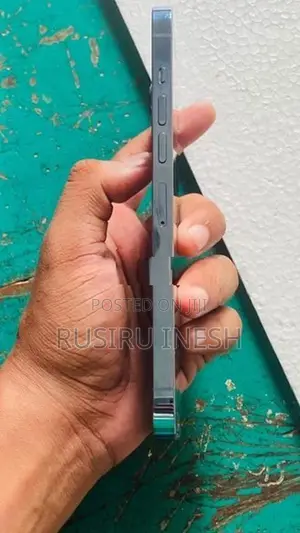 Apple iPhone 13 Pro Max (Used)