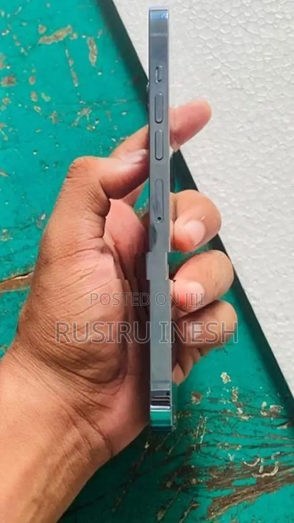 Apple iPhone 13 Pro Max (Used)