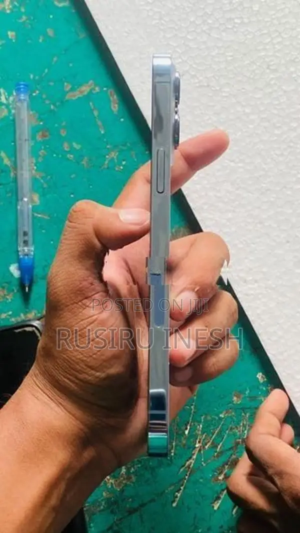 Apple iPhone 13 Pro Max (Used)