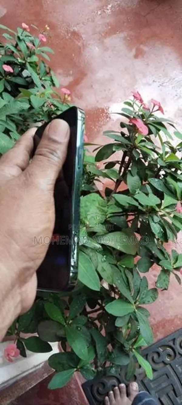 Apple iPhone 12 Pro (Used)