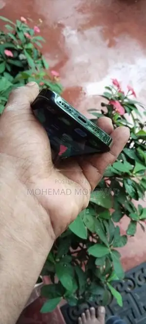 Apple iPhone 12 Pro (Used)