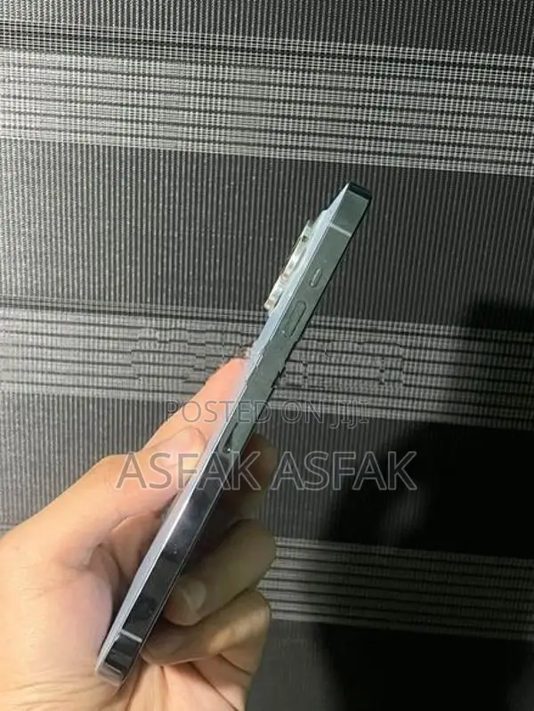 Apple iPhone 13 Pro Max (Used)