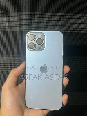 Apple iPhone 13 Pro Max (Used)