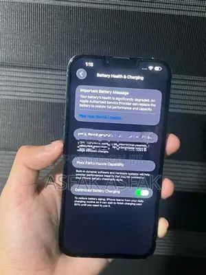 Apple iPhone 13 Pro Max (Used)